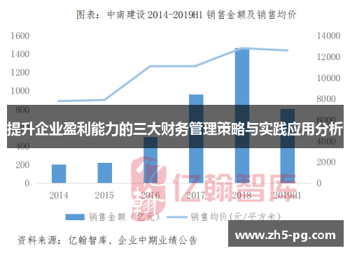 提升企业盈利能力的三大财务管理策略与实践应用分析