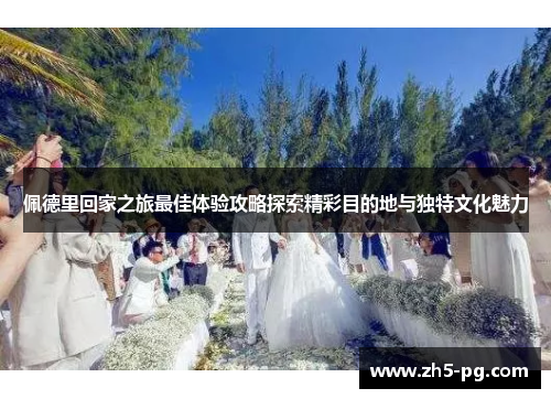 佩德里回家之旅最佳体验攻略探索精彩目的地与独特文化魅力