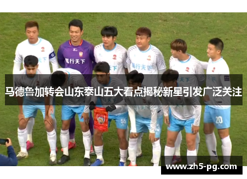 马德鲁加转会山东泰山五大看点揭秘新星引发广泛关注