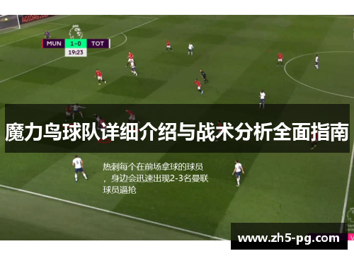 魔力鸟球队详细介绍与战术分析全面指南