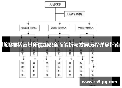 斯坦福桥及其所属组织全面解析与发展历程详尽指南