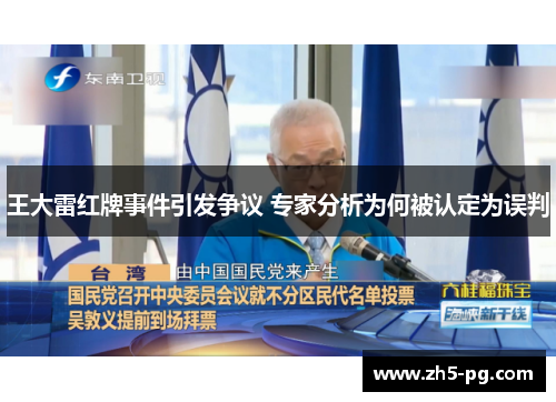 王大雷红牌事件引发争议 专家分析为何被认定为误判